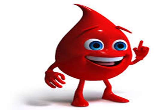  6,